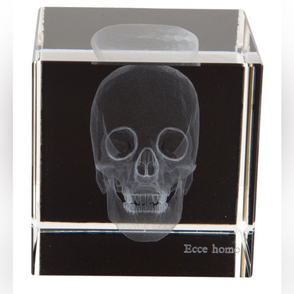 Nicole Sassaman Acrylic 3D Skull paperweight - Picture 1 of 5